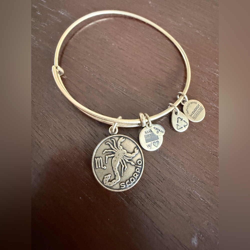 Alex and Ani Gold Scorpio Zodiac Bracelet